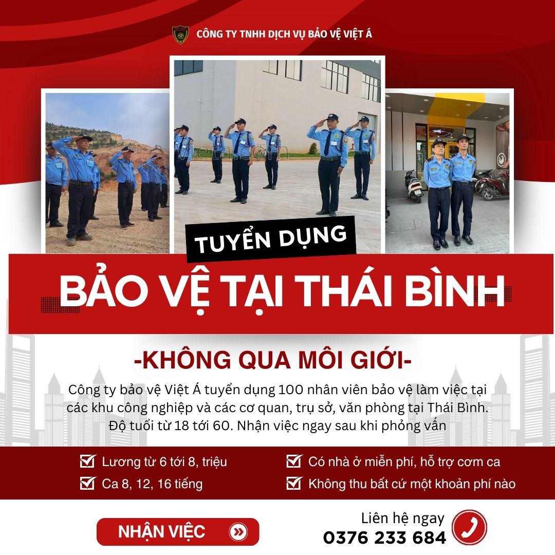 tuyen viec lam bao ve tai thai binh
